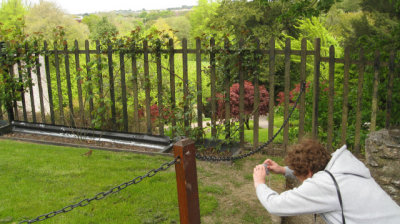 Linda trying to get a picture of Robin Redbreast