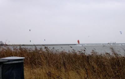 Wind and kite surfers on freezing Miva Bugt sea between Denmark & Sweden
