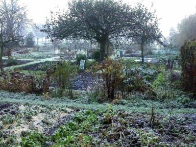 Residents' gardens along the edge of the Long Walk