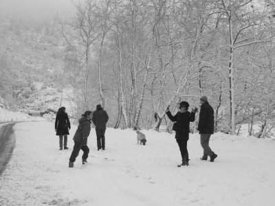 snowy walk childhoods
