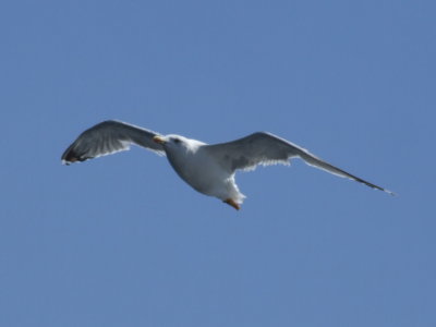 DSCF3013.JPG