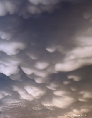 txjuly2009stormclouds12.jpg