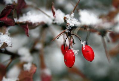First snow of the season...technically it is still fall