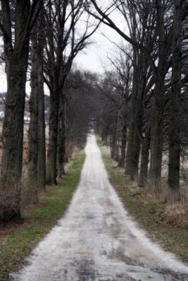 g3/39/1839/3/57948899.countryroad2.jpg