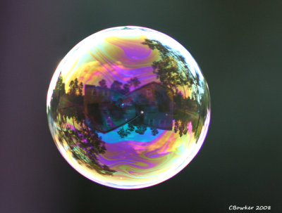 Livin in a bubble