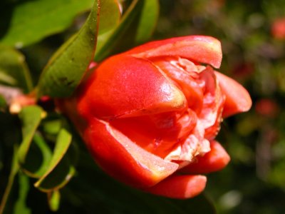 g3/39/263039/3/125406326.QxElsi12.jpg