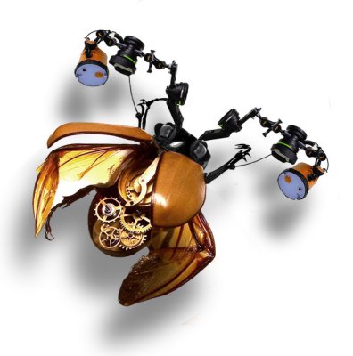 1st: robo beetle