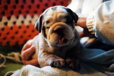 g3/39/279239/3/53069262.babycali.jpg