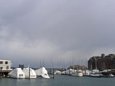 1harbor.jpg