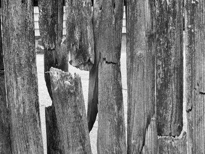 1fence.jpg