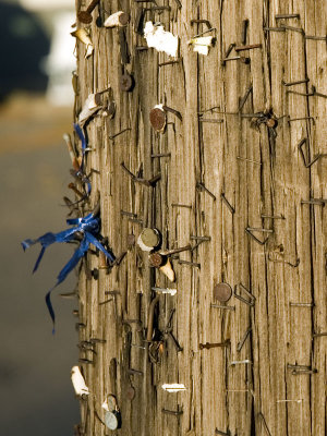 1pole.jpg