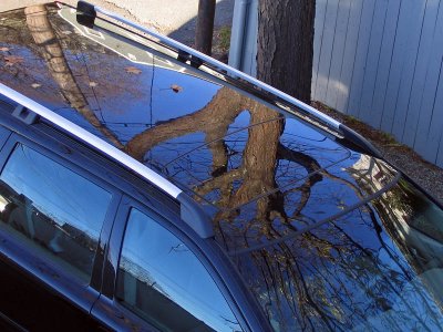 1reflec.jpg