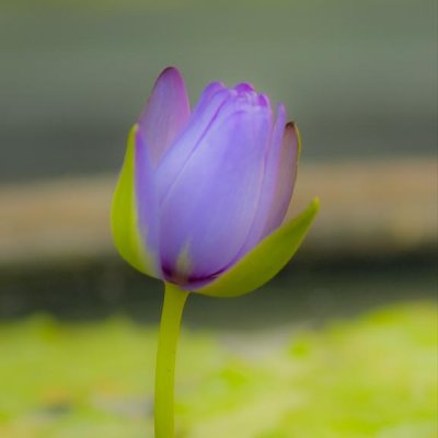 g3/39/331339/3/102939741.yf7FhAjQ.jpg