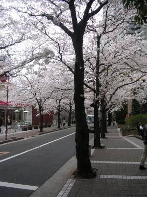 Picture 178.jpg