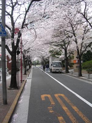 Picture 182.jpg