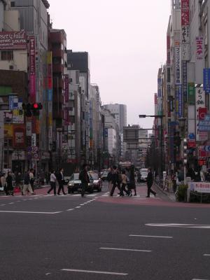Picture 183.jpg