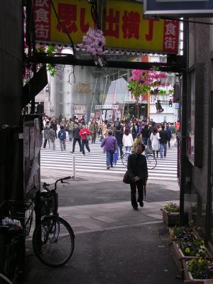 Picture 187.jpg