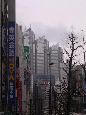 Picture 192.jpg