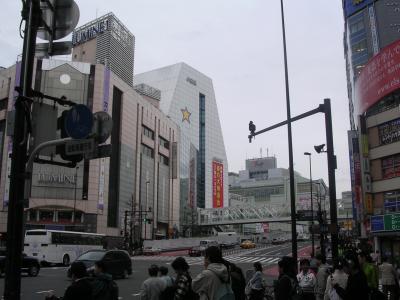 Picture 193.jpg