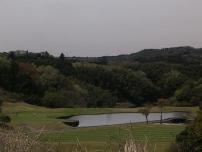 Picture 214.jpg