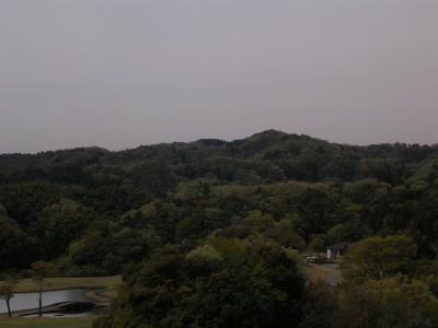 Picture 215.jpg