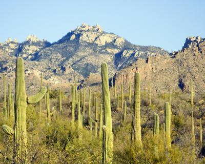 tucson_2006