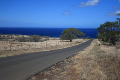 DPP_0036.jpg