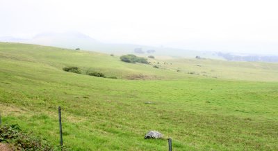 Big Island 2008