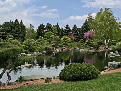 Denver Botanical Japanese Garden