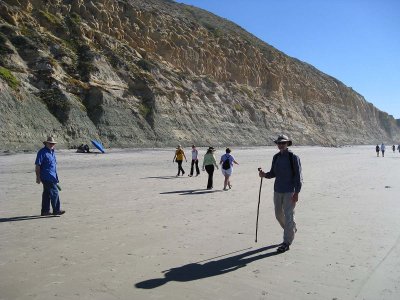 Beach Walk