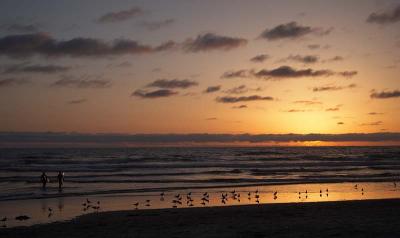 sunset surfers