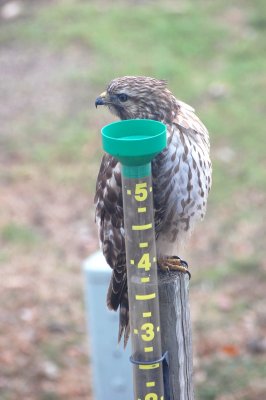 DSC_6983.jpg