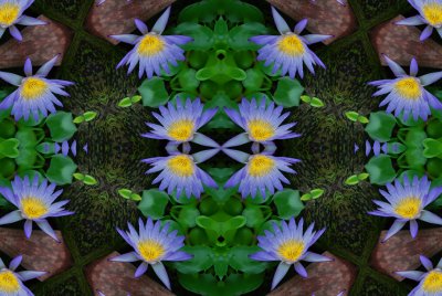 g3/39/460639/3/102408107.vTUZrGmG.jpg