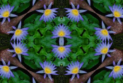 g3/39/460639/3/102408108.L7ze97pS.jpg