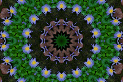 g3/39/460639/3/102408110.5NIPGWDA.jpg