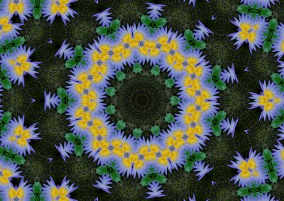 Kaleidoscope Waterlily