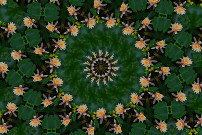 g3/39/460639/3/102408124.5Mg3TOVZ.jpg