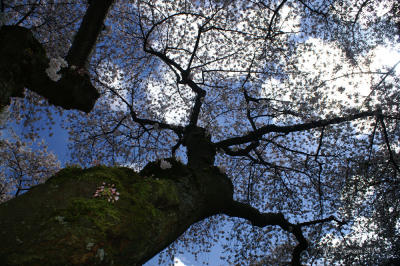 PICT7300_1.jpg