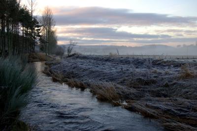 Frosty Stream...