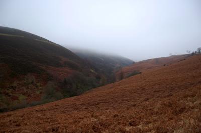 g3/39/497239/3/55020591.DSC_0003.jpg