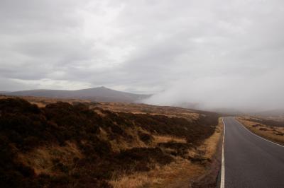 g3/39/497239/3/55020600.DSC_0020.jpg