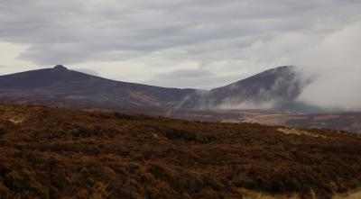g3/39/497239/3/55020603.DSC_0036.jpg