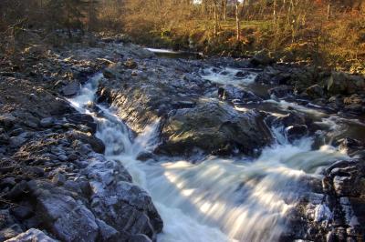 g3/39/497239/3/55532613.DSC_0047.jpg