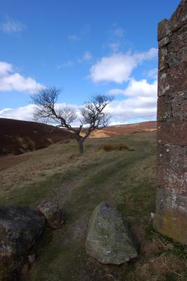 g3/39/497239/3/58855561.DSC_0042.jpg