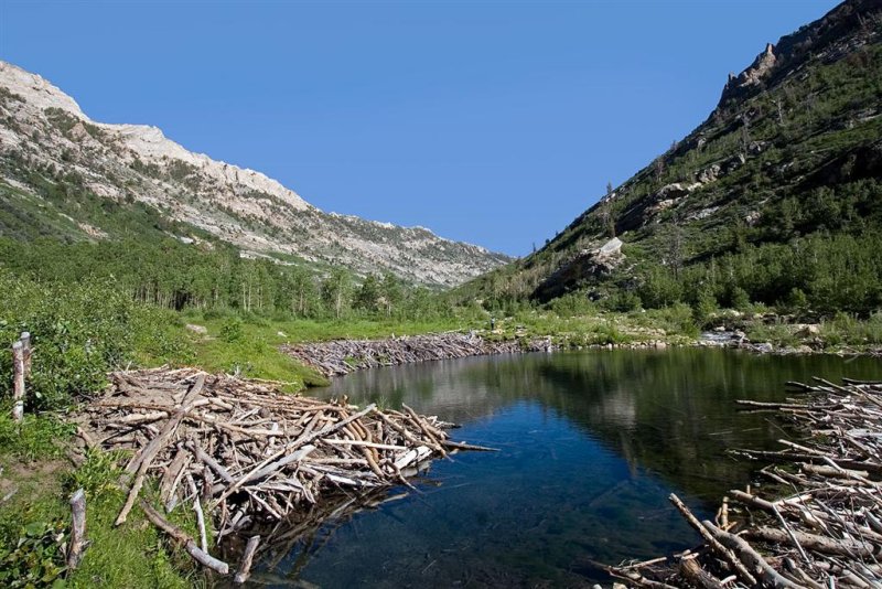 Lamoille Canyon