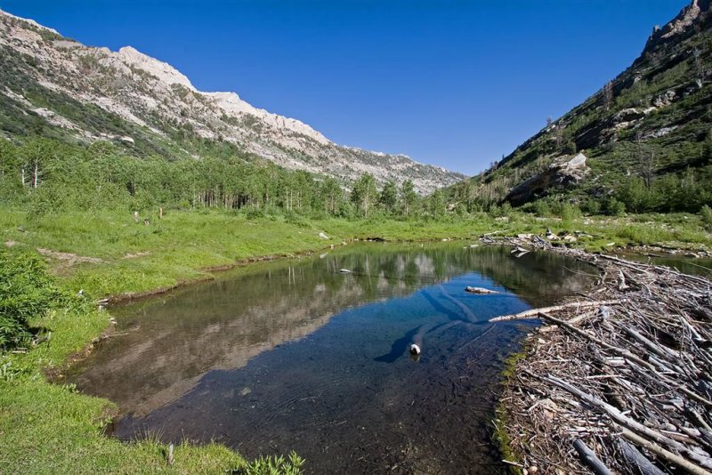 Lamoille Canyon