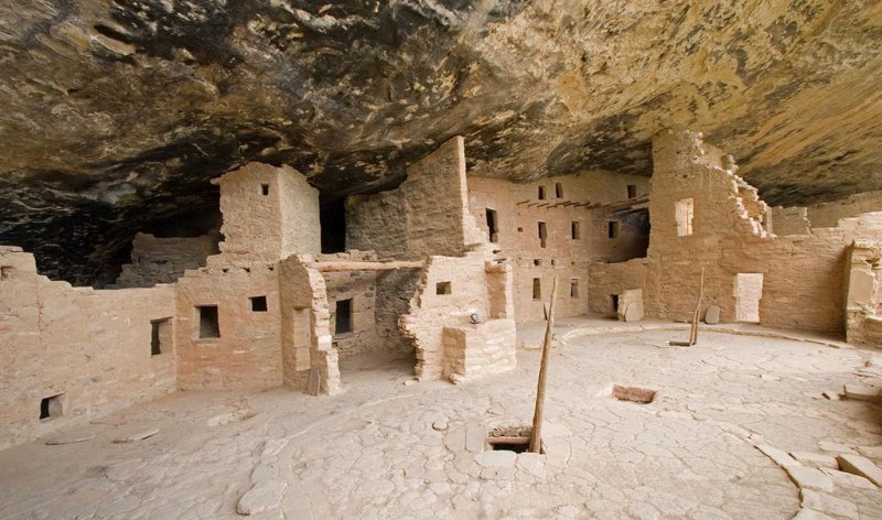  Spruce Tree House
