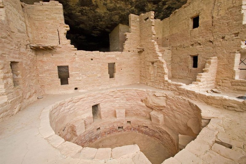  Spruce Tree House