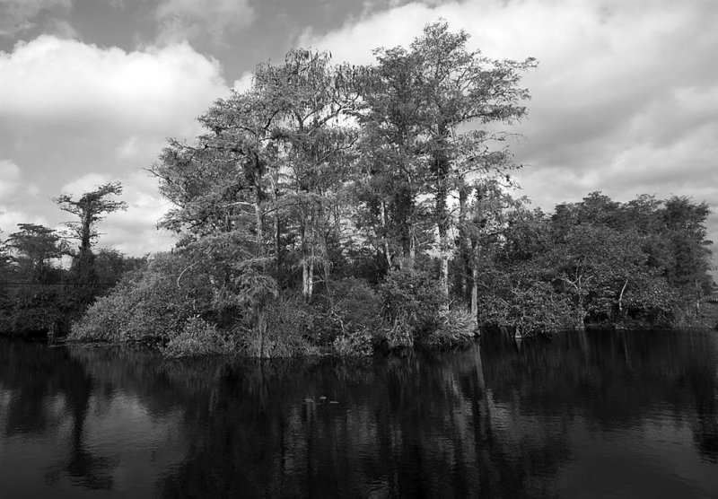 04-10-10 Everglades 05A (Large).jpg