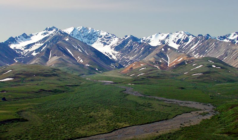 Denali NP